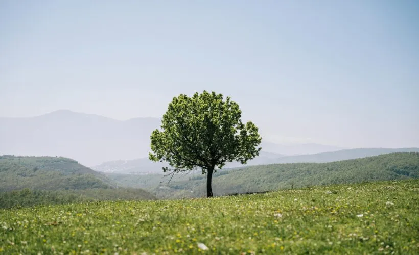 Navigating the EU Green Claims Directive: A Call to Action for the Hospitality Industry